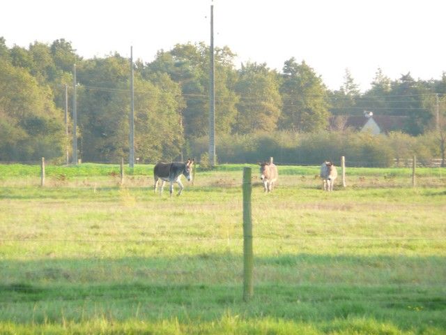 Balthazar et leonard Arrivee (29).jpg